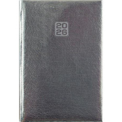 Naptár, tervező, B6, heti, DAYLINER, "Mirror", ezüst