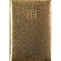 Naptár, tervező, A5, napi, DAYLINER, "Mirror", arany