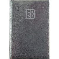 Naptár, tervező, A5, napi, DAYLINER, "Mirror", ezüst