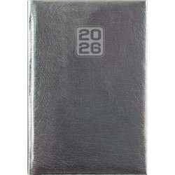 Naptár, tervező, A5, napi, DAYLINER, "Mirror", ezüst