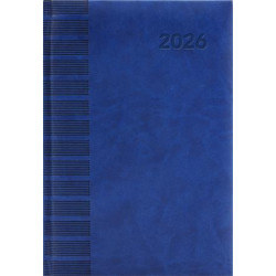 Naptár, tervező, A5, napi, DAYLINER, "Tucson", kék