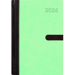 Naptár, tervező, A5, napi, DAYLINER "Winner", menta