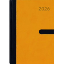 Naptár, tervező, A5, napi, DAYLINER "Winner", sárga