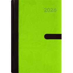 Naptár, tervező, A5, napi, DAYLINER, "Winner", zöld