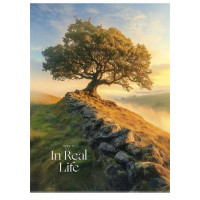 Füzet, tűzött, A4, vonalas, 40 lap, SHKOLYARYK "In Real Life", vegyes Füzet, tűzött, A4, vonalas, 40 lap, SHKOLYARYK "In Real Life", vegyes