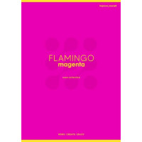 Füzet, tűzött, A4, kockás, 60 lap, SHKOLYARYK "Neon", vegyes Füzet, tűzött, A4, kockás, 60 lap, SHKOLYARYK "Neon", vegyes