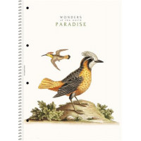 Spirálfüzet, A4, vonalas, 80 lap, SHOLYARYK "College Block Wonders", vegyes Spirálfüzet, A4, vonalas, 80 lap, SHOLYARYK "College Block Wonders", vegyes