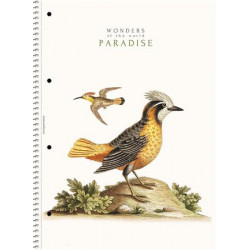 Spirálfüzet, A4, vonalas, 80 lap, SHOLYARYK "College Block Wonders", vegyes Spirálfüzet, A4, vonalas, 80 lap, SHOLYARYK "College Block Wonders", vegyes