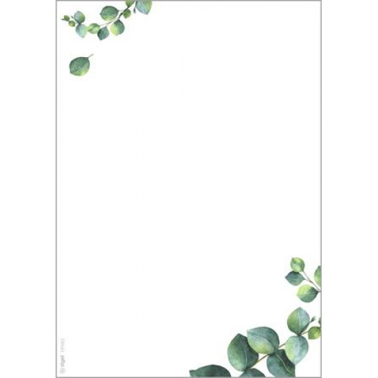 Előnyomott papír, kétoldalas, A5, 90 g. SIGEL "Eucalyptus"