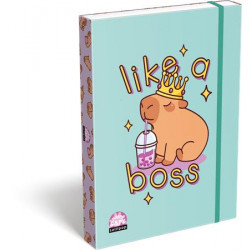 Füzetbox, A4, ICO, "Lizzysuli", Lollipop Capybara, zöld
