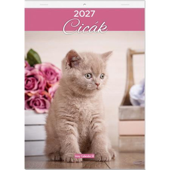 Falinaptár, A4, LIZZYCALENDAR "Cicák"