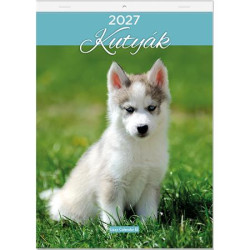 Falinaptár, A4, LIZZYCALENDAR "Kutyák"