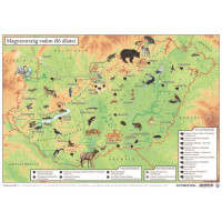 Könyökalátét, kétoldalas, A3, STIEFEL "Magyarország vadon élő állatai / Magyarország állatvilága" Könyökalátét, kétoldalas, A3, STIEFEL "Magyarország vadon élő állatai / Magyarország állatvilága"