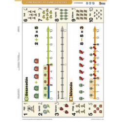 Tanulói munkalap, A4, STIEFEL"Ismerkedés a számegyenessel" Tanulói munkalap, A4, STIEFEL"Ismerkedés a számegyenessel"