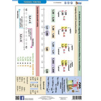 Tanulói munkalap, A4, STIEFEL" Tizedes törtek" Tanulói munkalap, A4, STIEFEL" Tizedes törtek"