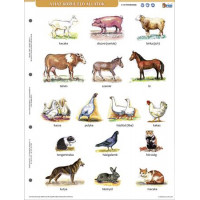 Tanulói munkalap, A4, STIEFEL" A ház körül élő állatok" Tanulói munkalap, A4, STIEFEL" A ház körül élő állatok"