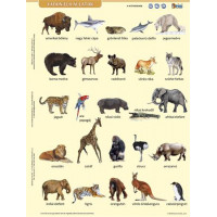 Tanulói munkalap, A4, STIEFEL" Vadon élő állatok" Tanulói munkalap, A4, STIEFEL" Vadon élő állatok"