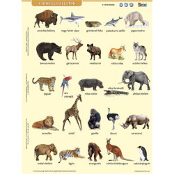 Tanulói munkalap, A4, STIEFEL" Vadon élő állatok" Tanulói munkalap, A4, STIEFEL" Vadon élő állatok"