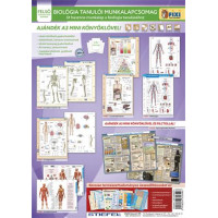 Tanulói munkalap csomag, 5 munkalap, 1 alátét, filc, STIEFEL "Biológia" Tanulói munkalap csomag, 5 munkalap, 1 alátét, filc, STIEFEL "Biológia"