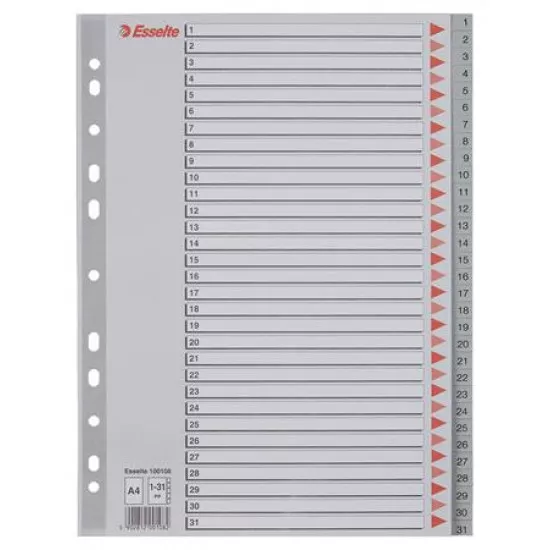 Regiszter, műanyag, A4, 1-31, ESSELTE, szürke