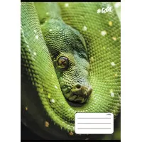 Füzet, tűzött, A5, vonalas, 32 lap, 1. osztály, COOL BY VICTORIA, "Animals", 14-32